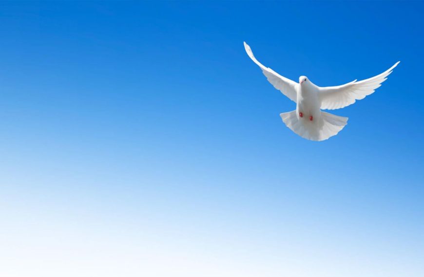 Who Is The Holy Spirit?