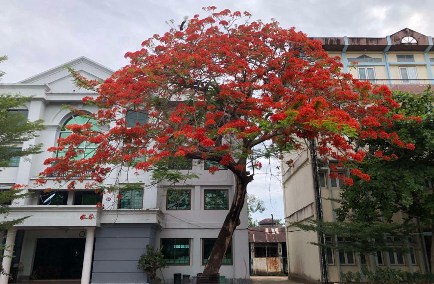 ရန်သူကိုချစ်ပါ