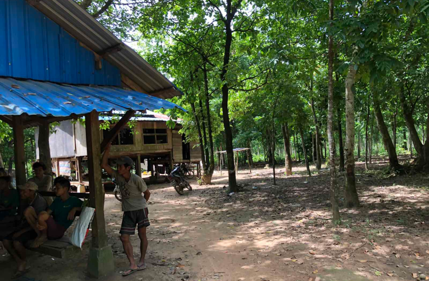 ၁၅ ကြိမ်မြောက်သာမန်တနင်္ဂနွေနေ့အတွက်ဖတ်ရှုရမည့်ကျမ်းစာများ