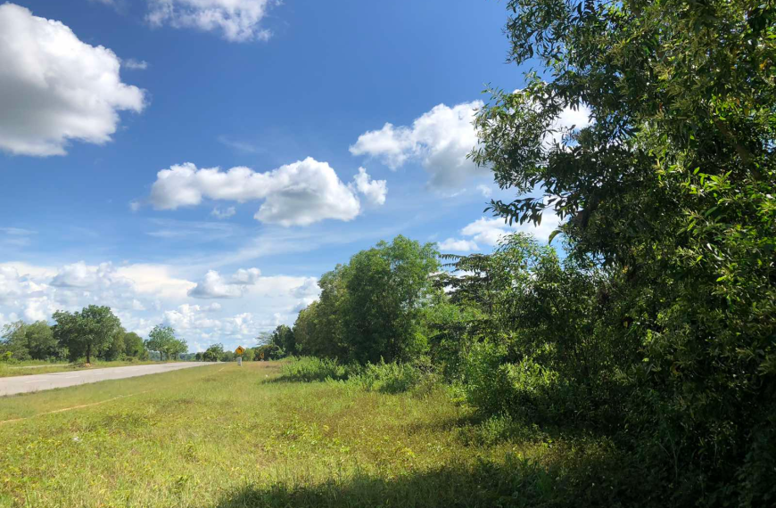 ၃၃ ကြိမ်မြောက်သာမန်တနင်္ဂနွေနေ့အတွက်ဖတ်ရှုရမည့်ကျမ်းစာများ