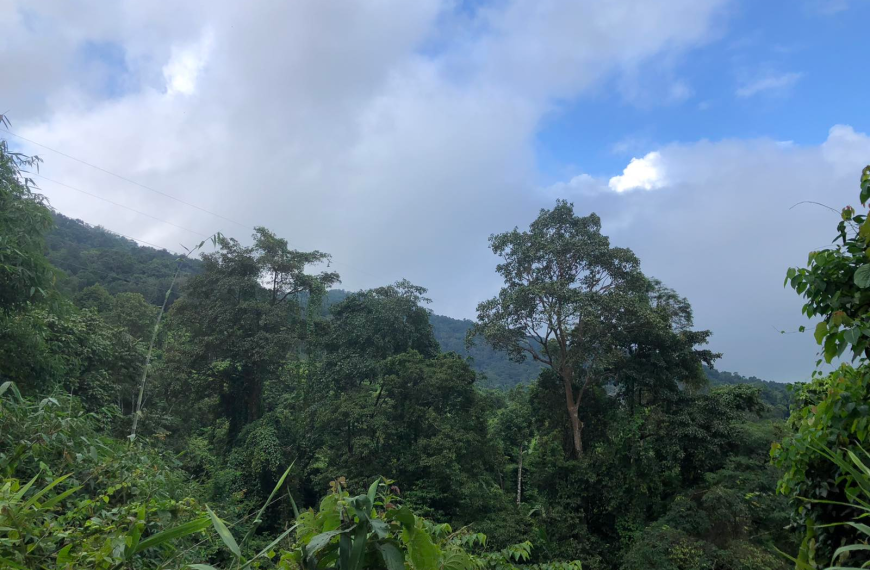 ၂၆ ကြိမ်မြောက်သာမန်တနင်္ဂနွေနေ့အတွက်ဖတ်ရှုရမည့်ကျမ်းစာများ