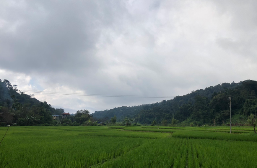 ဘုရား ရှိနေခြင်း