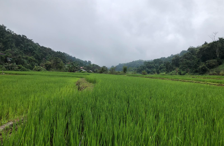 ကျမ်းရေးဆရာ စိန့် လုခ်ပွဲနေ့။