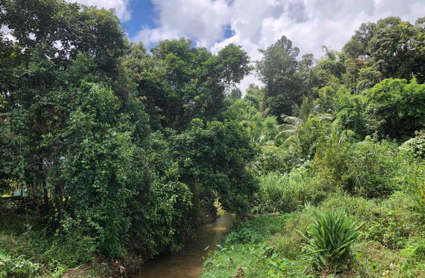 စွမ်းအားမဲ့ခြင်းအာဏာမဲ့ခြင်း