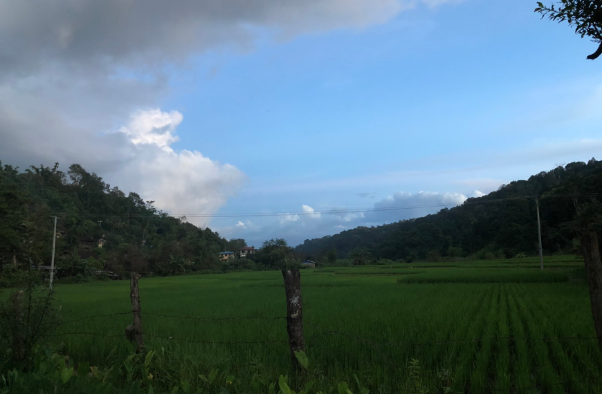 ယုံကြည်ခြင်းပျောက်ဆုံးခြင်း